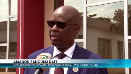 Le Président du CESEC reçoit en audience des conseillers économiques maliens