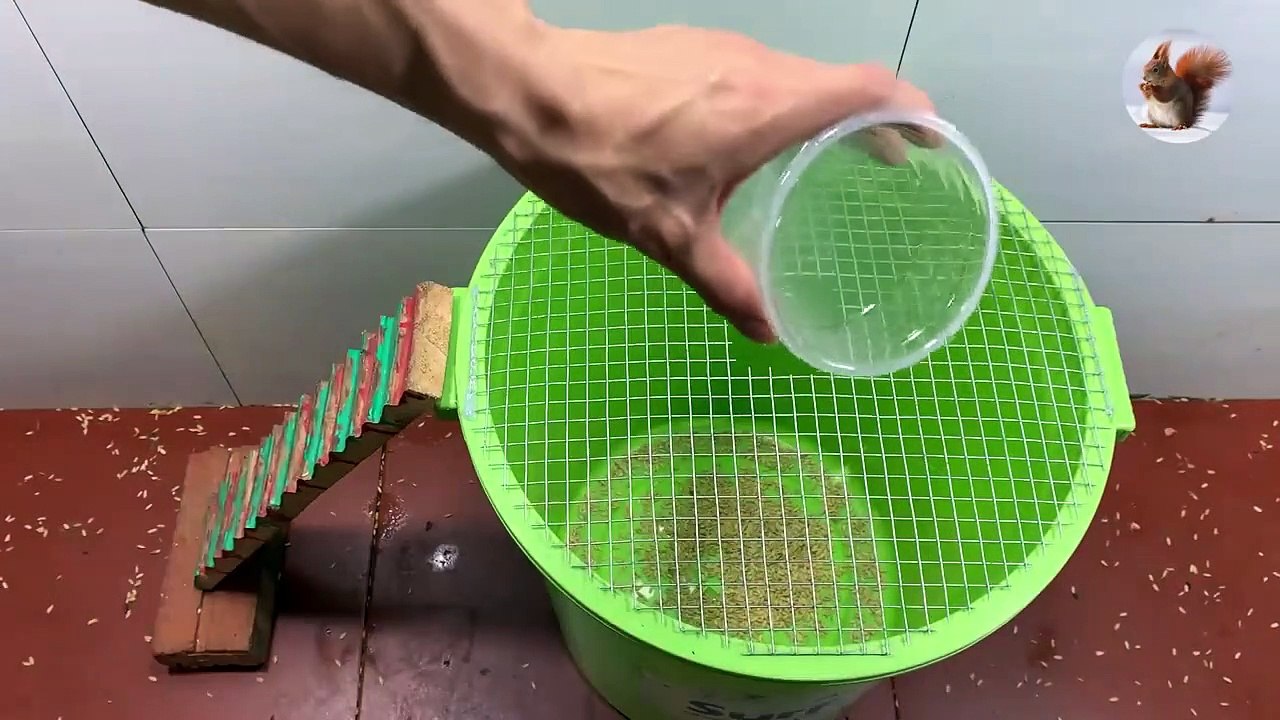 mouse trap I  electric mousetrap I  water mouse trap  I Make a mouse trap with a plastic box