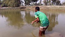 Cast Net Fishing | Traditional Net Fishing in Village People | Fishing With Cast Net