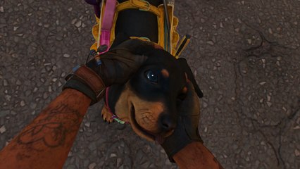 Far Cry 6: Cómo reclutar a Chorizo, el adorable perro salchicha con ruedas