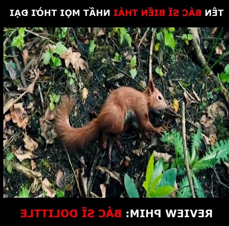 Bác sỉ dolittel