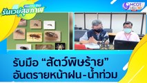 (คลิปเต็ม) รับมือ “สัตว์พิษร้าย” อันตรายในหน้าฝน - น้ำท่วม : Healthy Day รันเวย์สุขภาพ (ุ7 ต.ค.64)