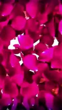 New WhatsApp status love video ,lovestatus,#Lovewhatsappstatus,#Goodmorninglove,#loveme,#Whatsappvideo,#lovevideo,#Lovelycouple,#hotlovecouple,#Xxxxwhatsappstatus,#Myfirstlove,#mylovelygf,#Mylovely,#lovecouple,#teels,#lovefeelings,#Musicvideo,#hindilovevi