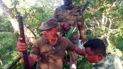 "அட்டாக் பன்ற புலி" இன்னும் சிக்கவில்லை.. நாலாபக்கமும் புலியை பிடிக்க புதிய டெக்னிக்!