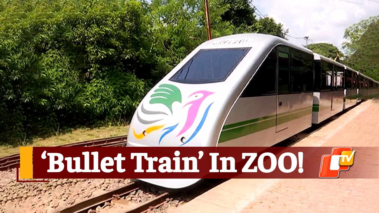 Nandankanan Zoo Toy Train Joy Ride To Resume After 7 years