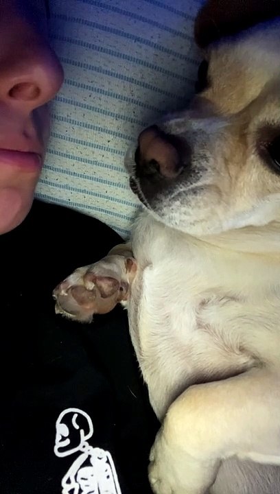 Licking Competition