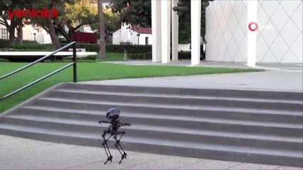 'Leonardo' teknoloji dünyasının ilgisini çekiyor