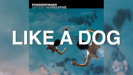 Powderfinger - Like A Dog