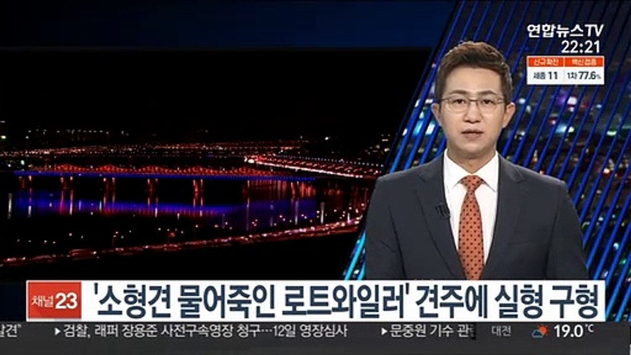 '소형견 물어죽인 로트와일러' 견주, 2심서 실형 구형
