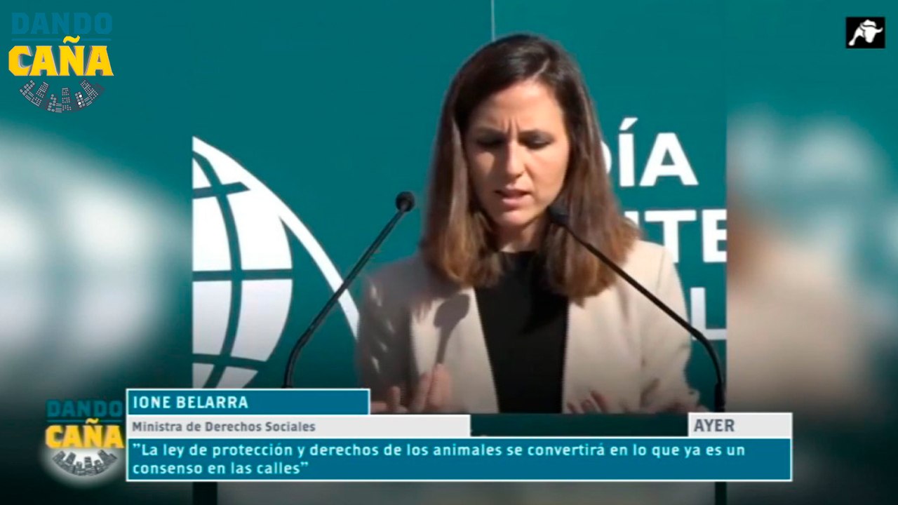 La ley de protección animal un curso para tener mascotas o prohibición de los animales en las Cabalgatas de Reyes