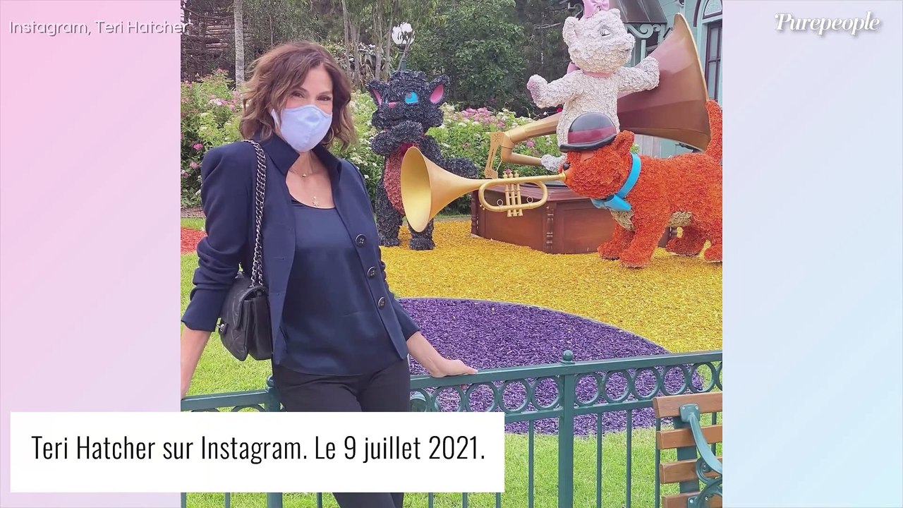 Teri Hatcher et James Denton : le couple de Desperate Housewives se retrouve pour un projet fou !