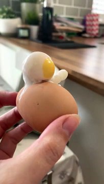 Un astronaute sort d'un oeuf !