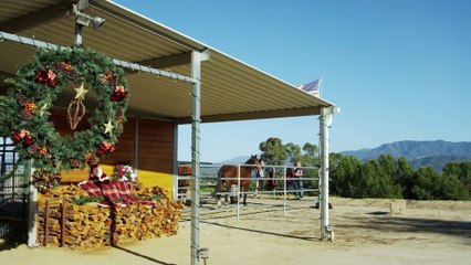 Ace and the Christmas Miracle - Official Trailer