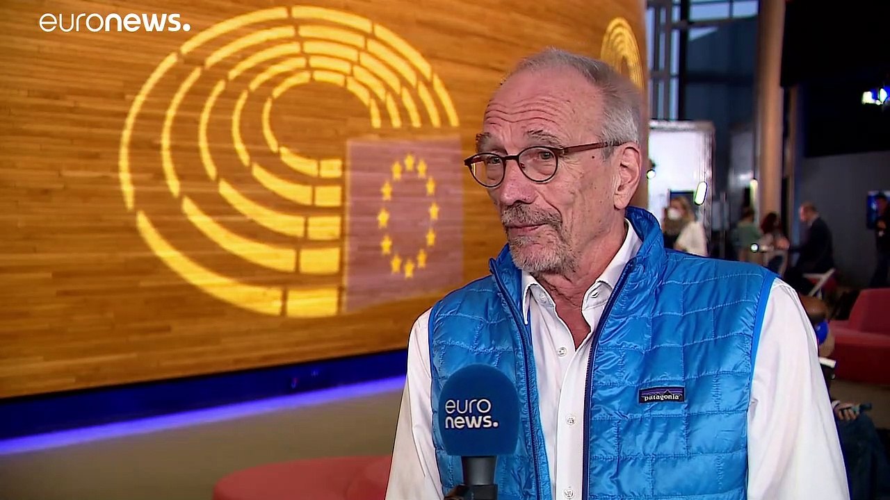 'Nicht nachhaltig' - EU-Subventionen für Waldabholzung in der Kritik