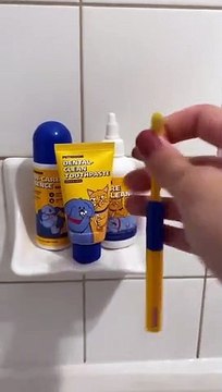 Un service spa de luxe pour deux adorables chats !