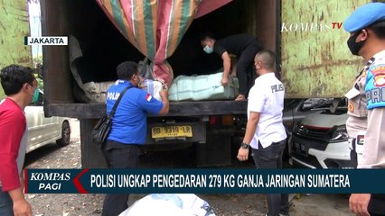 Terungkap Pengedaran 279 Kg Ganja Jaringan Sumatera
