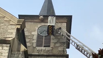 La guerre aux frelons asiatiques est lancée en Savoie, un nid de 5.000 insectes détruit à Fréterive