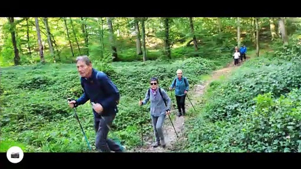 Belle matinée en forêt de sourdun avec notre coach préféré BERNARD