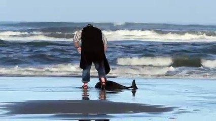 Woman Rescues Baby Dolphin