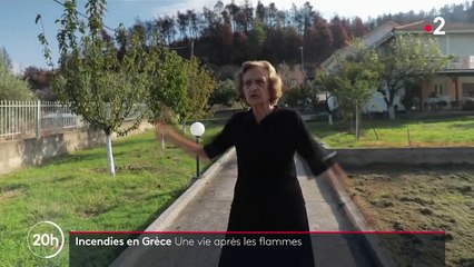 Incendies en Grèce : les habitants de l'île d'Eubée encore marqués par la catastrophe