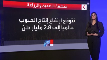 ما سبب ارتفاع أسعار الغذاء عالميا؟
