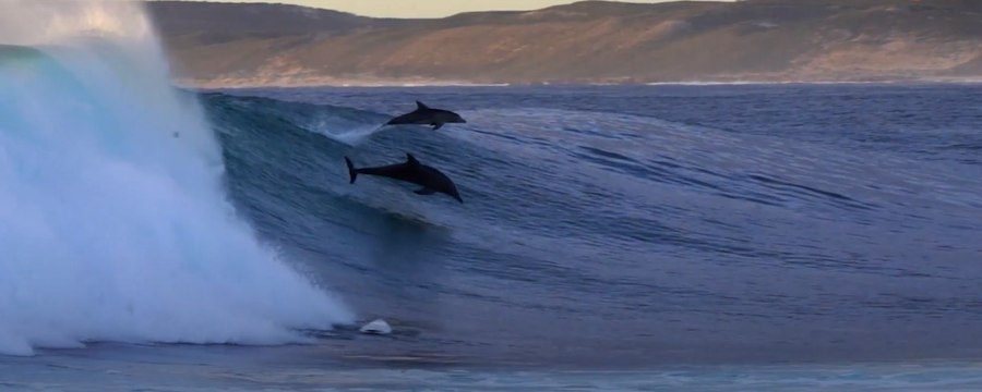 La fuerza de la naturaleza: impactantes momentos vividos en medio del mar