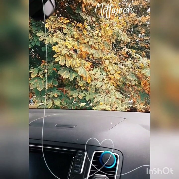 Esch;Parc des bains &centenaire* Nonnenwiesen*Corona Tag 568