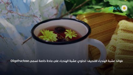 سبسفوائد وأضرار عشبة الهندباء