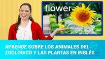 ABC Mouse Capítulo 9: Aprende sobre los animales del zoológico y las plantas y flores en inglés