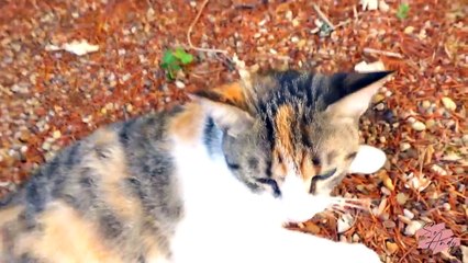 J’ai une chambre ! (Et des esprits)