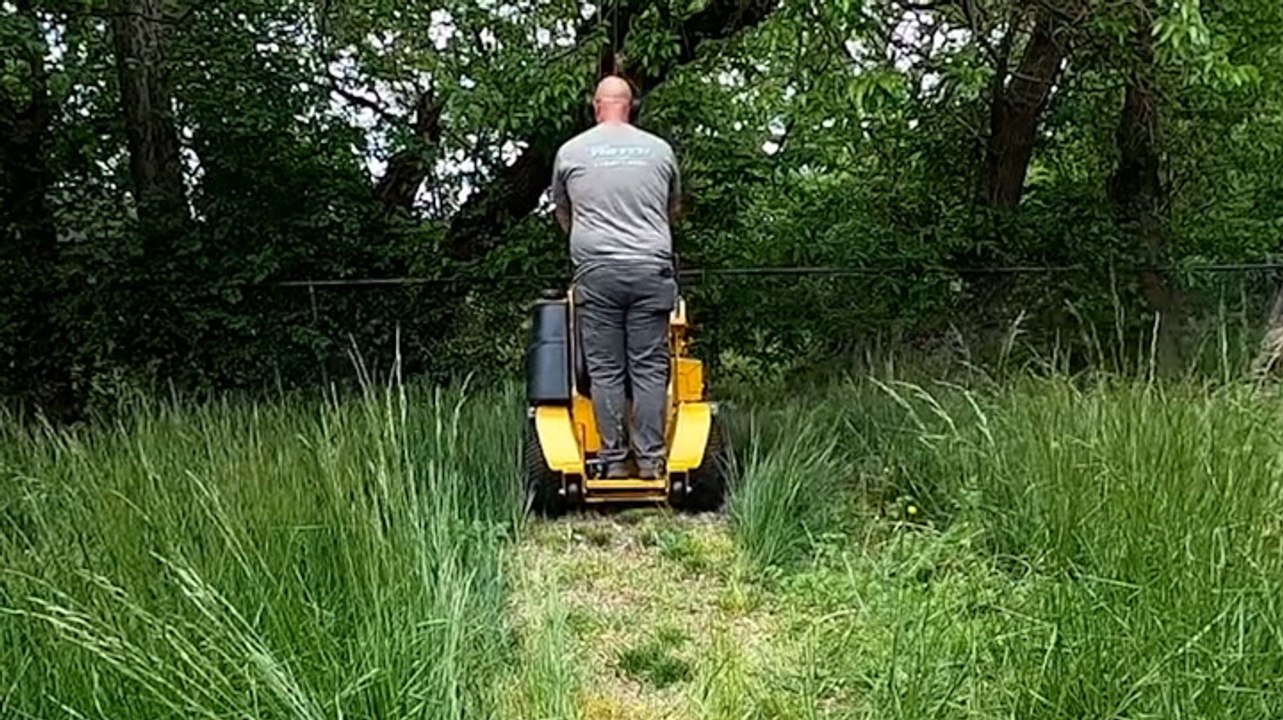 How a 2-year-old overgrown lawn is restored