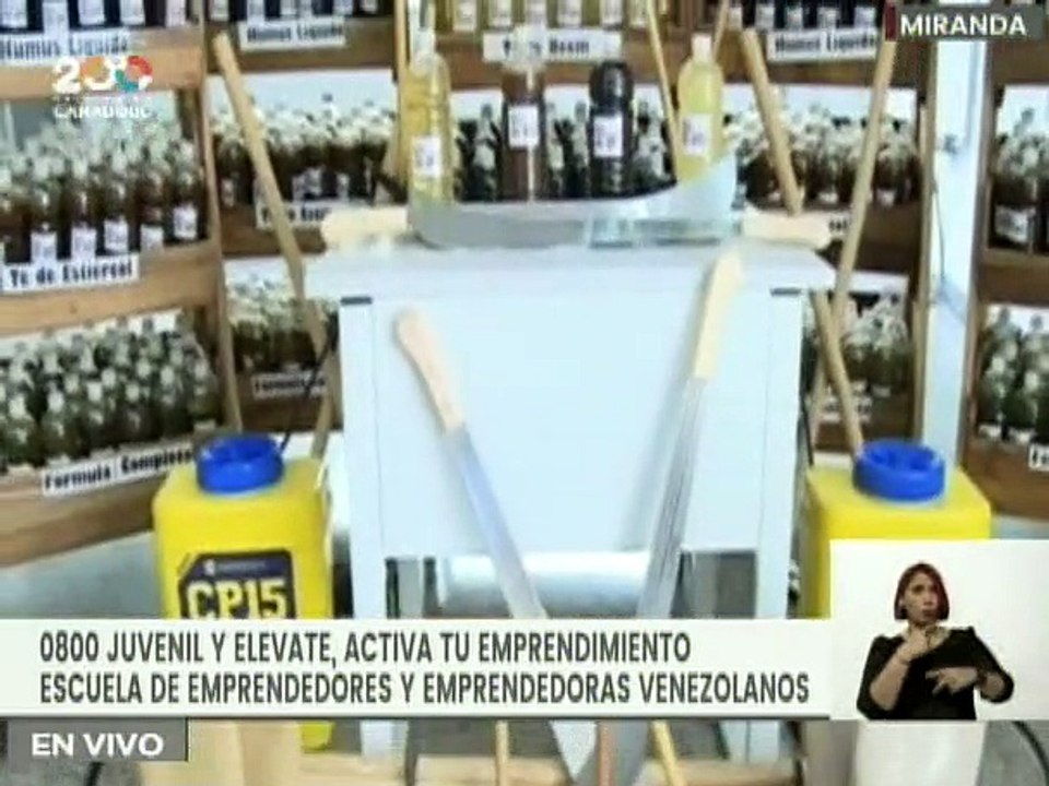 0800 Juvenil y Elévate dictarán cursos y talleres de emprendimiento para los jóvenes venezolanos
