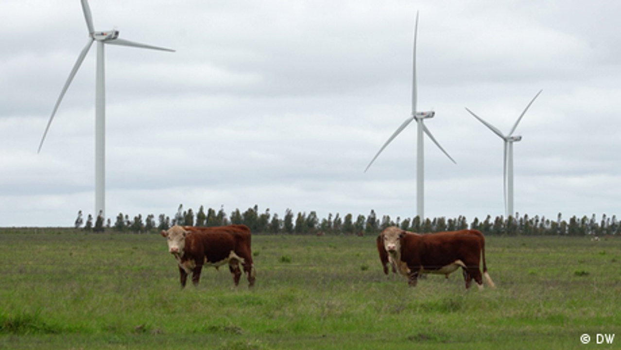 Uruguay: Energiewende mit Sonne und Wind