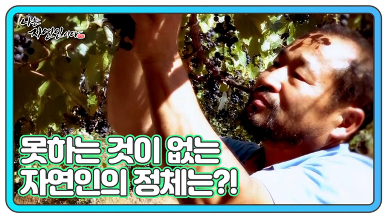 바리스타부터 제빵사까지! 못하는 것이 없는 자연인의 정체는?! 나는 자연인이다 473...