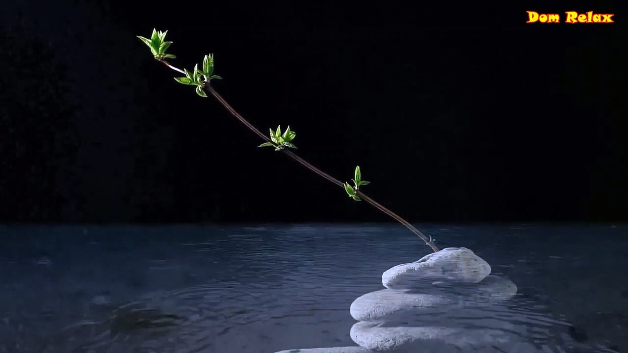 432 Hz | Deep Healing Music for The Body & Mind - Meditation Music \ Yoga Music \ Relaxing Music