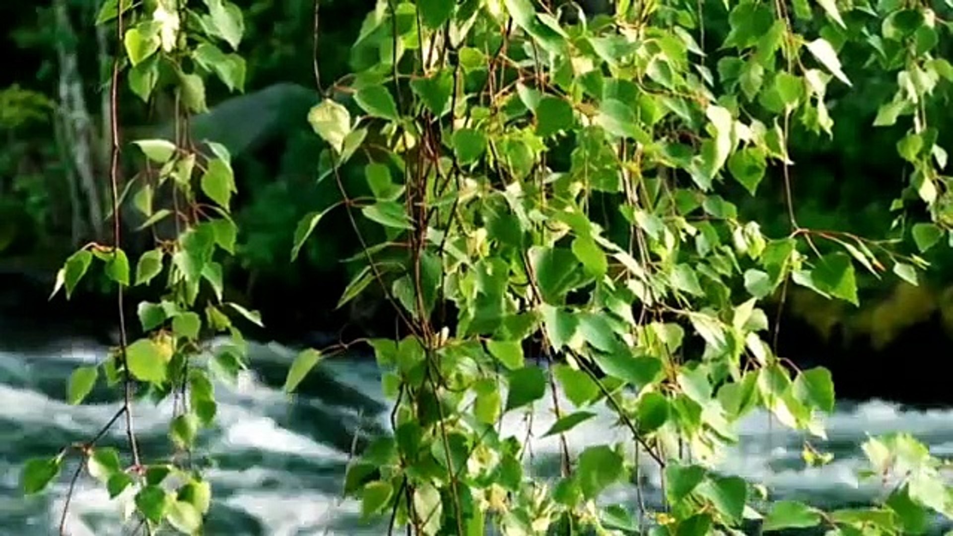 Relax Music Stress Relief Music Calm Music Beautiful Relaxing Music Study Music