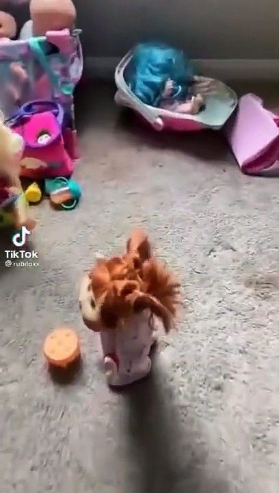 Haunted Paranormal -Ghosts and paranormal on Tik Tok 5