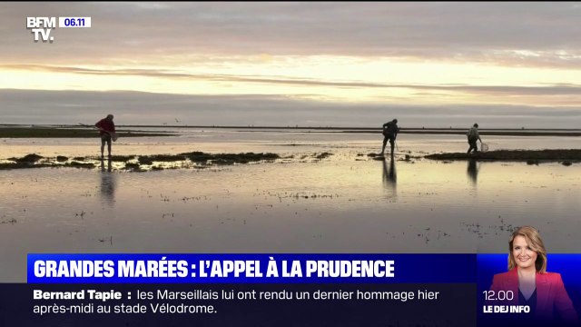 Si les grandes marées réjouissent les pêcheurs, les autorités appellent à la prudence