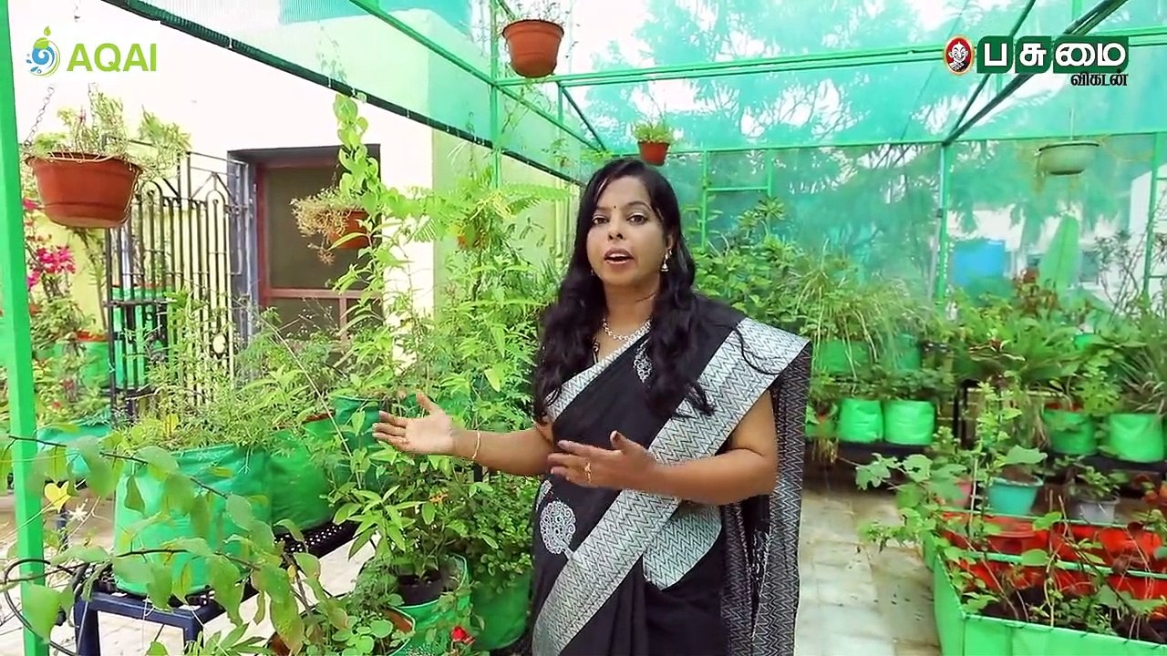 மாடியில் மூலிகைத் தோட்டம்... அசத்தும் சென்னை பெண்!