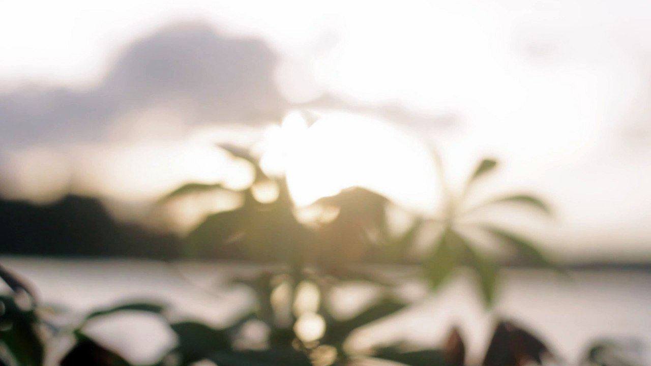 Sunset Cinematic Video