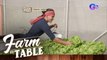 Farm To Table: Perks of growing your own food | Teaser Ep. 34