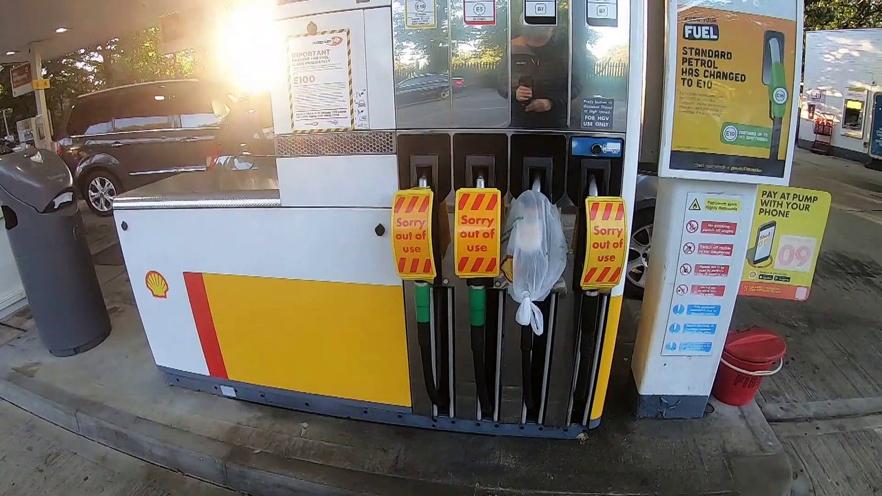 Wohin mit den schlachtreifen truthähnen? britisches weihnachtsmahl in gefahr