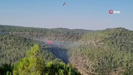 Kudüs'te orman yangını henüz kontrol altına alınamadı