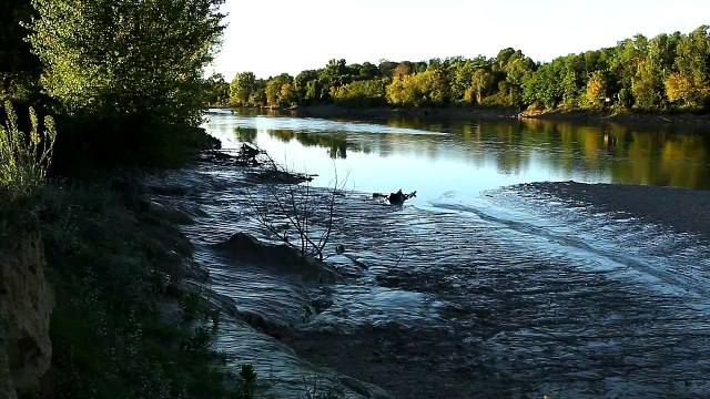 Gironde : ils surfent le mascaret sur la Garonne