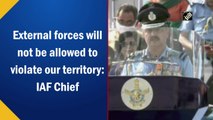 External forces will not be allowed to violate our territory: IAF Chief