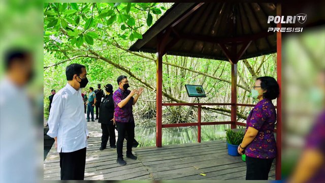 Presiden Jokowi Meninjau Mangrove di Taman Hutan Raya Ngurah Rai, Bali