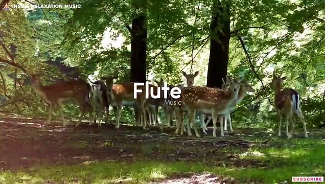 Relaxing Flute Music Krishna Flute Music Uplifting Flute Meditation Music