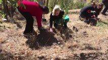 Tunceli'de Tenzile Erdoğan anısına fidan dikimi gerçekleştirildi