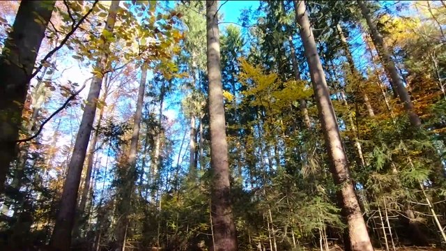 IA - Drones alta velocidad