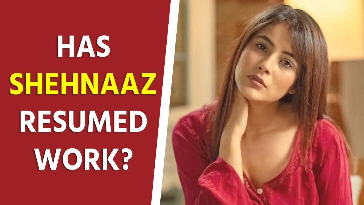 Has Shehnaaz Gill resumed work?